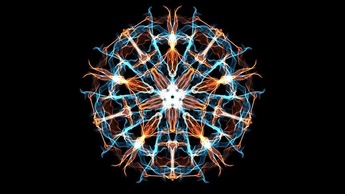 上海迪士尼为什么老是打架？